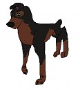 Young Buster