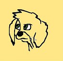 Skip 