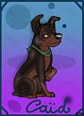 Le Ca�d chiot