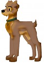 Adult Scamp