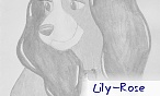 Lily-Rose