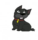 jock puppy