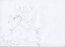 Lady=D