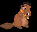 Le castor frenchy