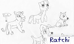 ratchi
