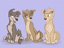 Ruffy, Fluffy & Scooter