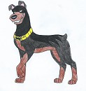 Ca�d is the Bat-Dog