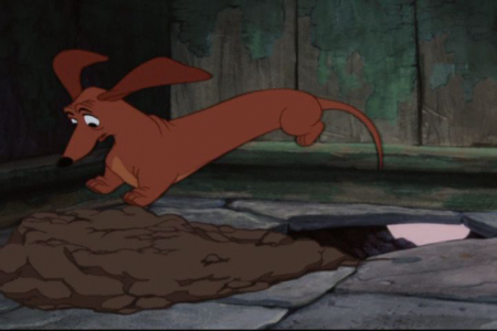 Detail Dachsie