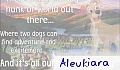 aleukiara