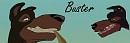 Signature de Ca�d