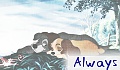Always
