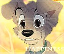 Vava Scamp - Gift for Victor