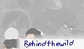 behindthewild