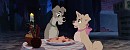 Adult Scamp and Angel 
