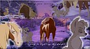 Lost Stars - For Nakou