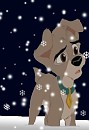 What, Oh What, Is A Snowflake?
