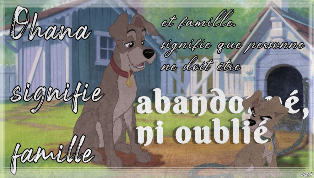 Projet Incorect quote! 