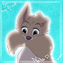 Avatar pour Nakou 