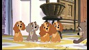 ladyard viens faire une petite visite a sa famille