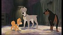 Angelia son pere scamp et buster