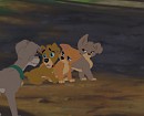 scamp avec c'est trois enfants