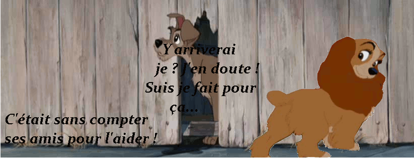 Candidat