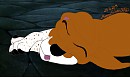 Sleep time
