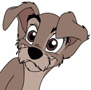 Puppy Tramp