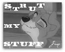 Strut My Stuff Avvie