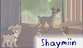 Shaymiin