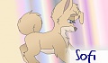 Sofi