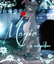 Magic is everywhere