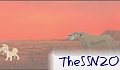 SSN