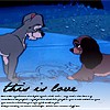  This Is Love  avatar