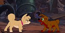  Stay Away From Scamp. 