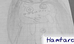 Hamtaro