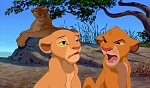 Simba and Nala cubs