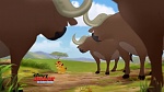 Image Le Roi Lion : 