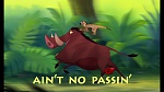 The Lion King 1 1/2 : Hakuna Matata picture