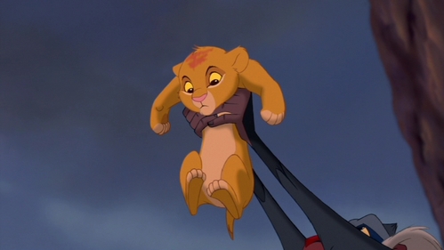 Simba's Presentation