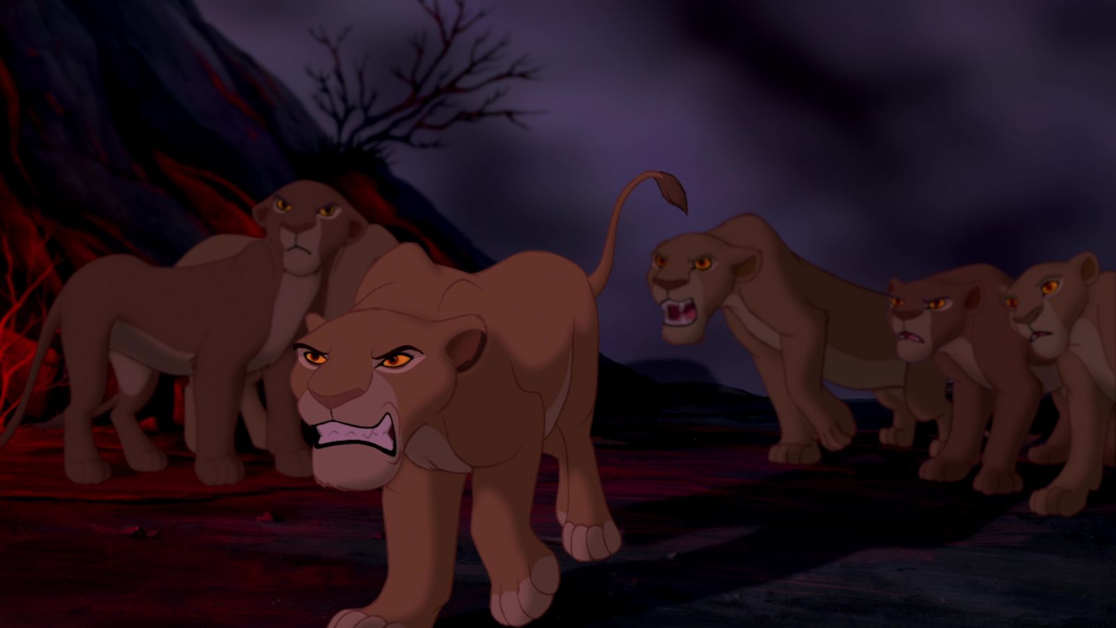 Lions