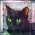 �Etoile Bl.