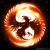 -Fenix-