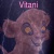 cheetahlionvitani