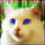 Cloudtail