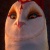 Eris