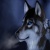 greyshadow333