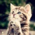 Hope'