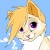 Kami