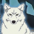 Kiba the w.